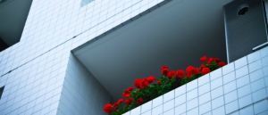 マンション